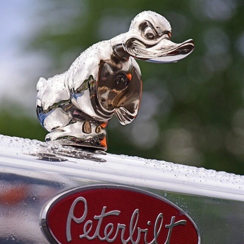Art Craft Duck - Cappuccio Angry Duck Car Front Ornament