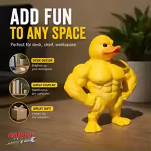 Statua di Anatra Muscolosa - D - Art Craft Duck recensione e prezzo