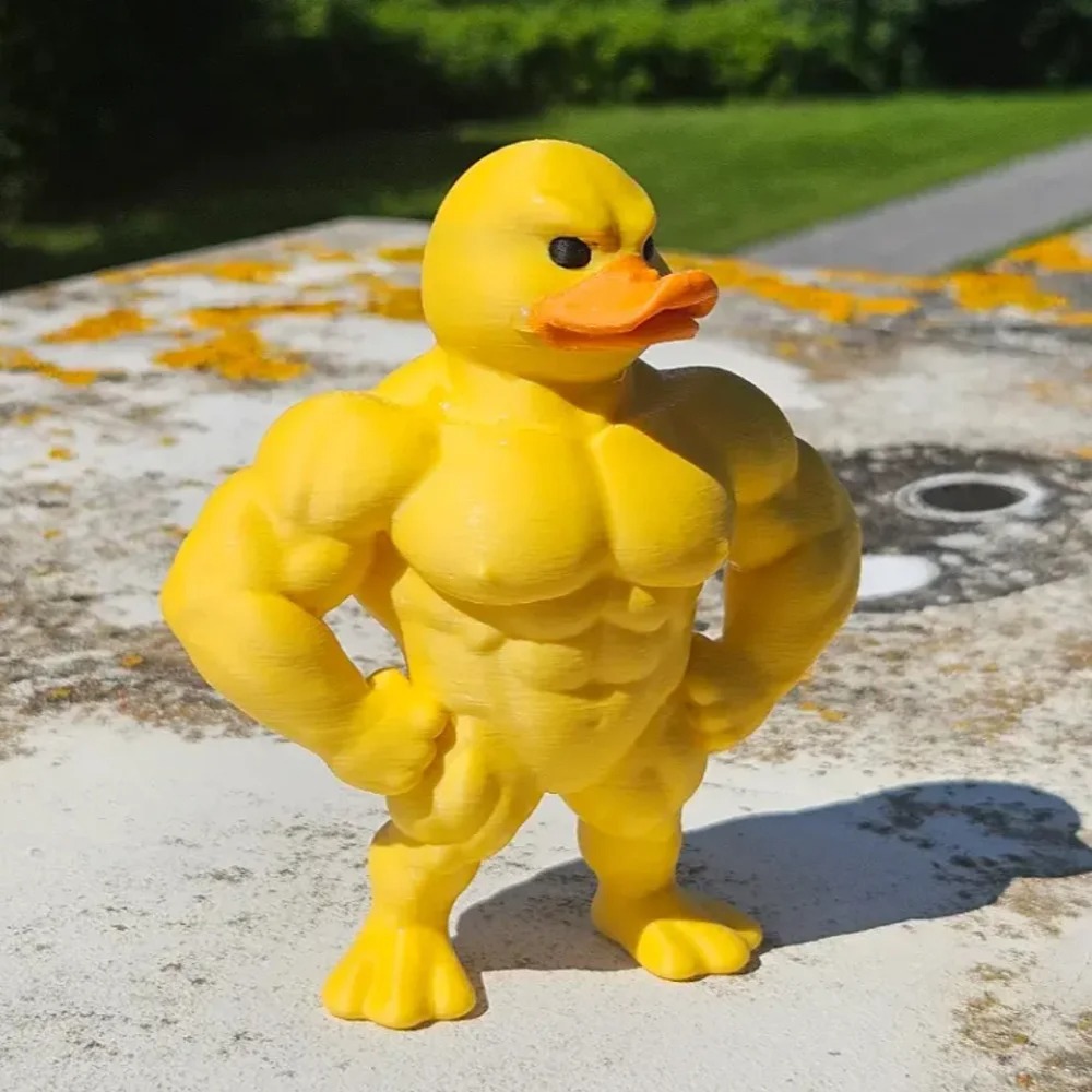 Statua di anatra muscolare -Ar - Art Craft Duck recensione e prezzo