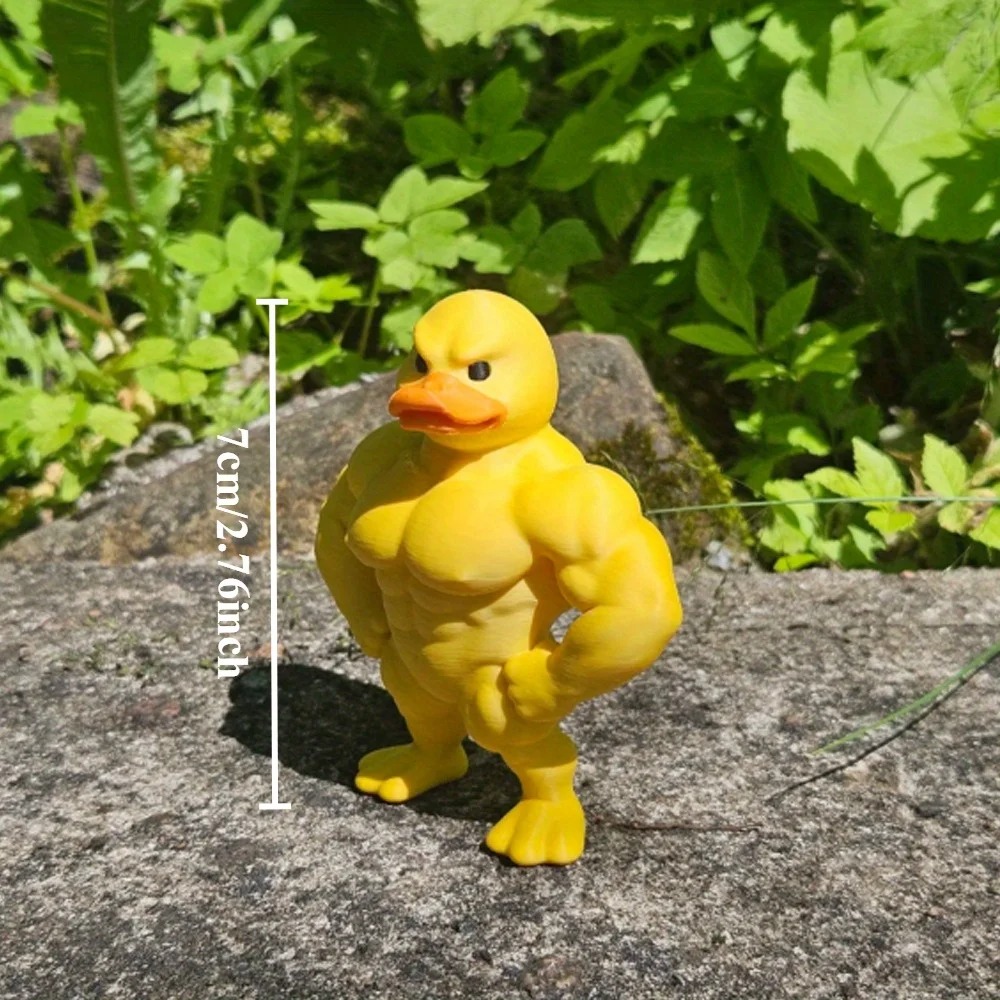 Statua di anatra muscolare -Ar - Art Craft Duck recensione e prezzo